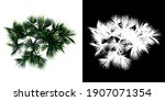 top view of plant  pandanus... | Shutterstock . vector #1907071354