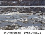 Small photo of Debacle. Ice drift on the river.