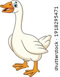 Cute Goose animal cartoon illustration
