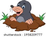 Cute Mole Animal Cartoon Vector ...