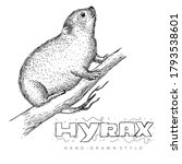 Vector Of Hyrax On Tree Trunk....