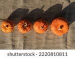Four Pumpkins Of Different...