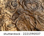 Small photo of Unusual face and swirling patterns in the wood of a piece of burl