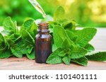The Mint Extract In A Small Jar....