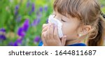 Small photo of Seasonal allergy in a child. Coryza. Selective focus.