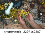 Woman with medicinal herbs and...