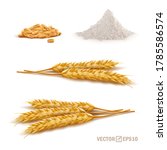 3d Vector Realistic Wheat Set ...
