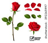 Realistic vector elements set of red roses (petals, leaves, bud and an open flower) with the ability to change the appearance of the flower, as in the constructor