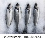bluefish fish ready for sale on ... | Shutterstock . vector #1883487661