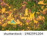 texture of crumbling... | Shutterstock . vector #1982591204