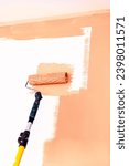 Small photo of Painting and refreshing the wall with peach buzz color paint using roller, color of the year 2024