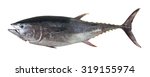 Big Tuna Fish Isolated On White ...