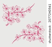 sakura cherry blossom branch.... | Shutterstock .eps vector #2077240561