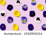 Pansy Flowers Arranged On...