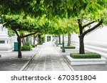 Small photo of Concrete stone footpath with trees umbrage
