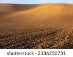 Small photo of This captivating photograph captures the essence of Moravian fields, revealing a rolling expanse of golden-hued terrain with intriguing textures left behind by meticulous plowing.