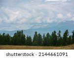 Dramatic landscape with coniferous forest and large mountains under cloudy sky. Atmospheric scenery with forest line against high mountain range in overcast. Scenic view to green forest and hills.