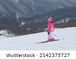 A child stands on the skis on the ski slope. In the background is a winter forest with gray trees. Little skier at the ski resort