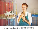 Woman Working In Animal Shelter