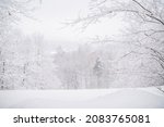 Foggy snowy landscape of the northern park. soft focus