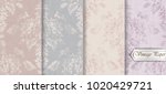 baroque pattern trendy color... | Shutterstock .eps vector #1020429721