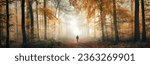 Small photo of Solitary walk in the depths of a dreamy beautiful forest in autumn mist, an extra wide panorama with magical atmosphere