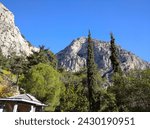 Small photo of Delphi, Greece - January 3, 2022: Behind the tall trees rise two inaccessible rocks of the Phaedriad Rock on the southern slope of Parnassus above the Kastalsky spring.