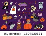 halloween cartoon dogs  pumpkin ... | Shutterstock .eps vector #1804630831