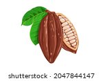 chocolate cocoa beans tree. ... | Shutterstock .eps vector #2047844147