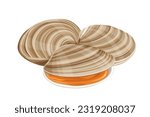clams vector illustration isolated on white background.