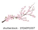 flower on white background... | Shutterstock .eps vector #1926091037