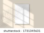 window and palm leaves shadow... | Shutterstock .eps vector #1731345631