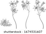 set of floral elements of... | Shutterstock .eps vector #1674531607