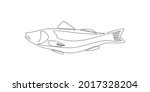 Salmon fish in one continuous line drawing. Wild trout in linear sketch style on white background. Vector illustration