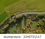 View from above of a winding road in the countryside between trees and grass in autumn