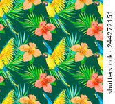 macaw seamless pattern. palm... | Shutterstock .eps vector #244272151