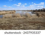Small photo of Joel's Pond at Shiloh Crossing Blvd., Billings, MT