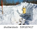 Fire Hydrant With Surround Snow ...