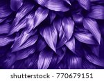 Ultra Violet background made of fresh green leaves. Green dynamic backdrop for your design.