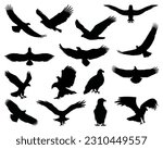 set of eagles silhouette ...