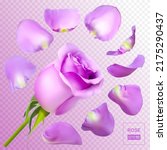 realistic rose petals. vector... | Shutterstock .eps vector #2175290437