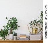 stock-photo-houseplants-books-pile-of-journals-and-watering-can-arranged-on-the-wooden-shelf-349499291.jpg