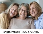 Small photo of Three different age and generation women portrait. Happy elderly grandma, mature daughter, millennial loving granddaughter sit on sofa laughing enjoy time together and harmonic relation, close up shot