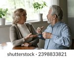 Small photo of Spousal squabble. Nervous annoyed mature married couple have misunderstanding argue prove partner is wrong. Stressed aged husband wife sitting at table quarrelling expressing anger with raised voices