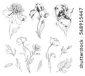Set of hand-drawn flowers. Peony, iris, poppies and leaves design for wedding invitations, greeting cards, packages, T-shirts, labels and other.