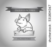 Sketch Of Pig. Pork.engraved...
