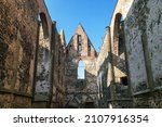 Rosa coeli, ruins of church and monastery, Dolni Kounice near Ivancice town, South Moravia, Czech Republic