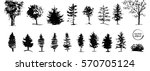 ink illustration of growing... | Shutterstock .eps vector #570705124