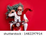 Portrait of handsome old hipster with eyewear eyeglasses carrying fir tree drive bike wearing white jumper trousers pants isolated  over red background
