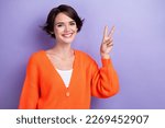 Photo of joyful pretty lovely lady wear bright outfit pullover hand demonstrate v-sing empty space isolated on purple color background